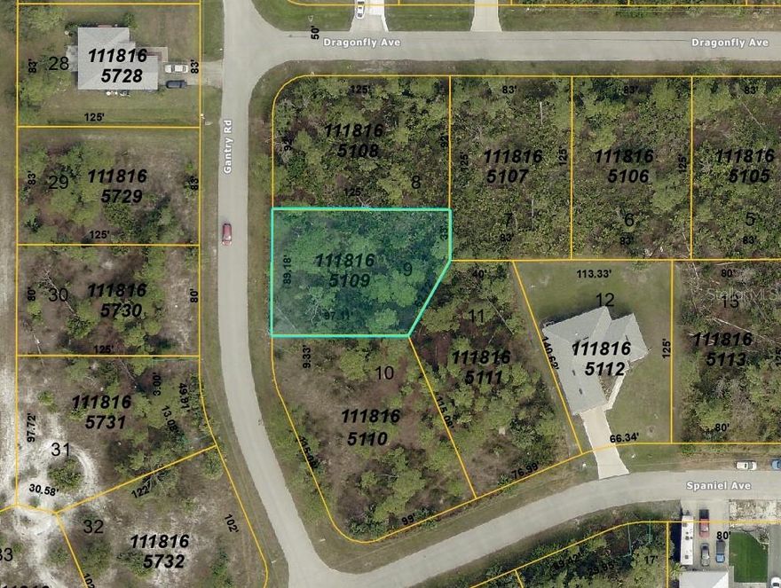 Discover the potential of this rare buildable parcel in central Florida! Situated on a spacious lot of approximately 10,833 sqft (~0.25 acres), no flood zone, no HOA, this property offers a blank canvas for your dream home, vacation retreat, or investment project. Surrounded by Florida’s natural beauty, residents can enjoy outdoor activities such as hiking, fishing, boating, and exploring nearby lakes and nature preserves.

This location provides easy access to major highways, making commuting or weekend adventures a breeze, and is just a short drive to the Gulf Coast beaches for sun, sand, and water sports. Whether you’re seeking a serene retreat, a strong investment opportunity, or convenient access to both urban amenities and coastal escapes, this property combines location, potential, and lifestyle.  City water and sewer are available. Buyer must verify all information. Call now to secure this opportunity!
