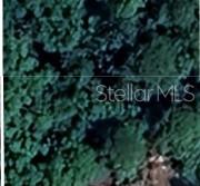 Escape to this .34-acre wooded lot, located in the peaceful Tiotie Beach Estates community. Offering a serene and private setting, this lot is the perfect place to build your dream home. Surrounded by mature trees, it provides ample space for outdoor living, gardening, or simply enjoying the natural landscape.
Its corner location ensures convenient access while maintaining a sense of seclusion, ideal for those seeking privacy yet still being close to local amenities. Just a short distance from Lake Rosalie, the property offers opportunities for fishing, boating, and nature watching.
Whether you're looking for a weekend retreat, a peaceful place to retire, or a solid investment, this lot presents endless possibilities in a desirable, growing area.