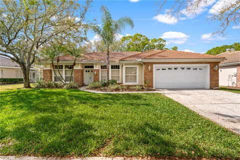 17918 HOLLY BROOK DRIVE TAMPA FL 33647