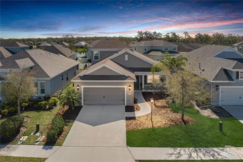 10919 BLUE MAGNOLIA LANE PARRISH FL 34219