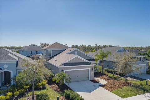 10919 BLUE MAGNOLIA LANE PARRISH FL 34219
