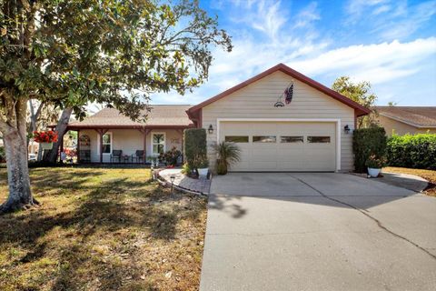 Photo of 705 Brinton Court, Brandon, FL 33511 (MLS # TB8447649)