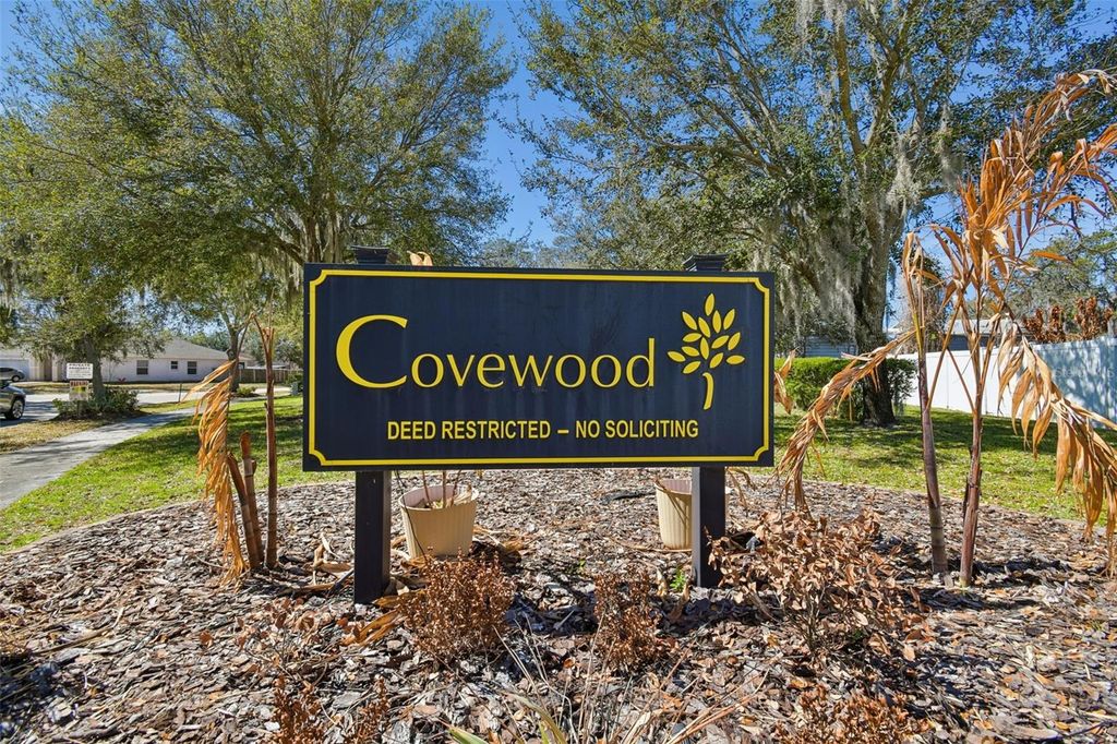 Photo of 12931 Tribute Drive, Riverview, FL 33578 (MLS # TB8482083)