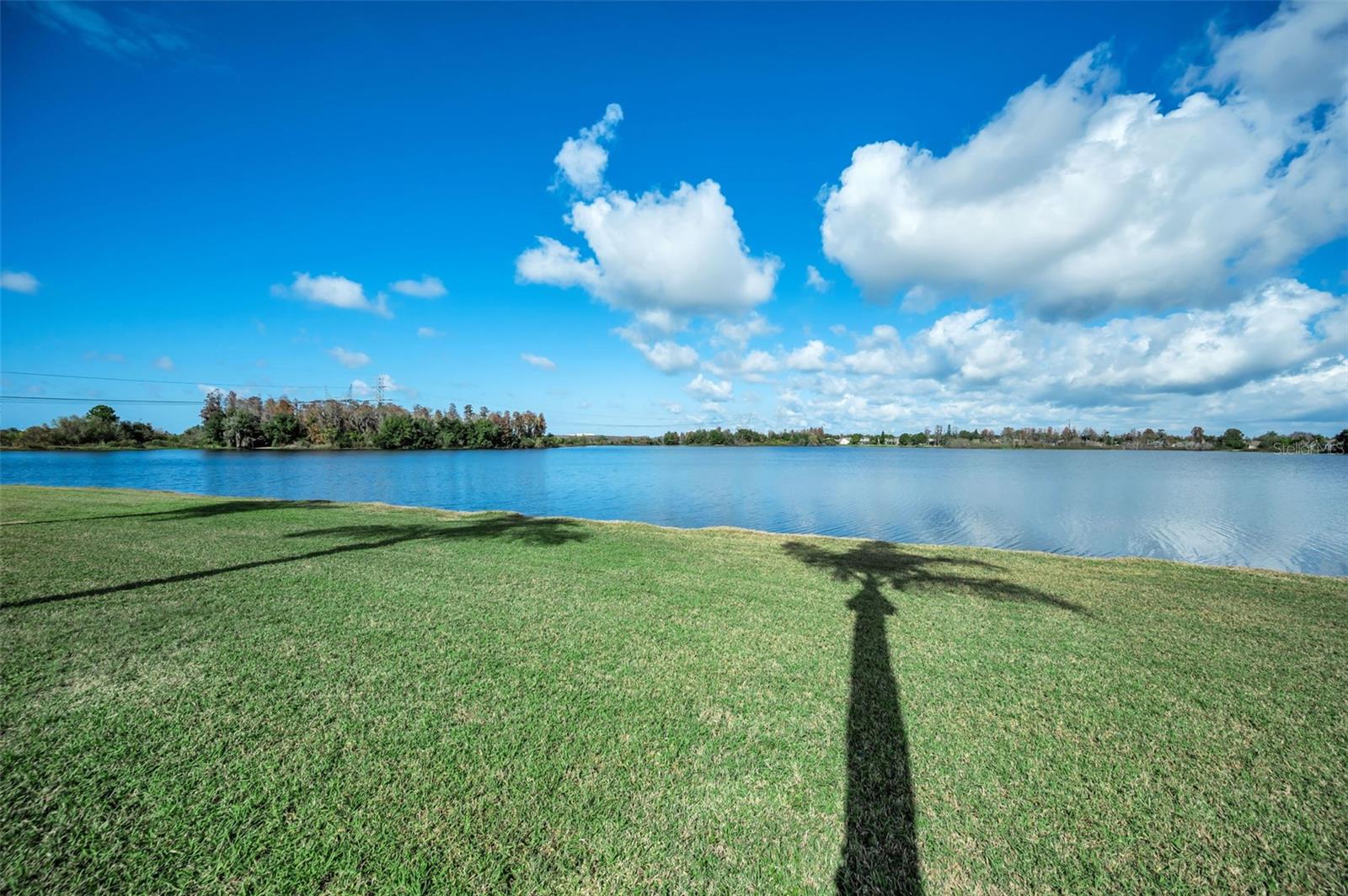 FOX WOOD PH 01 - Residential