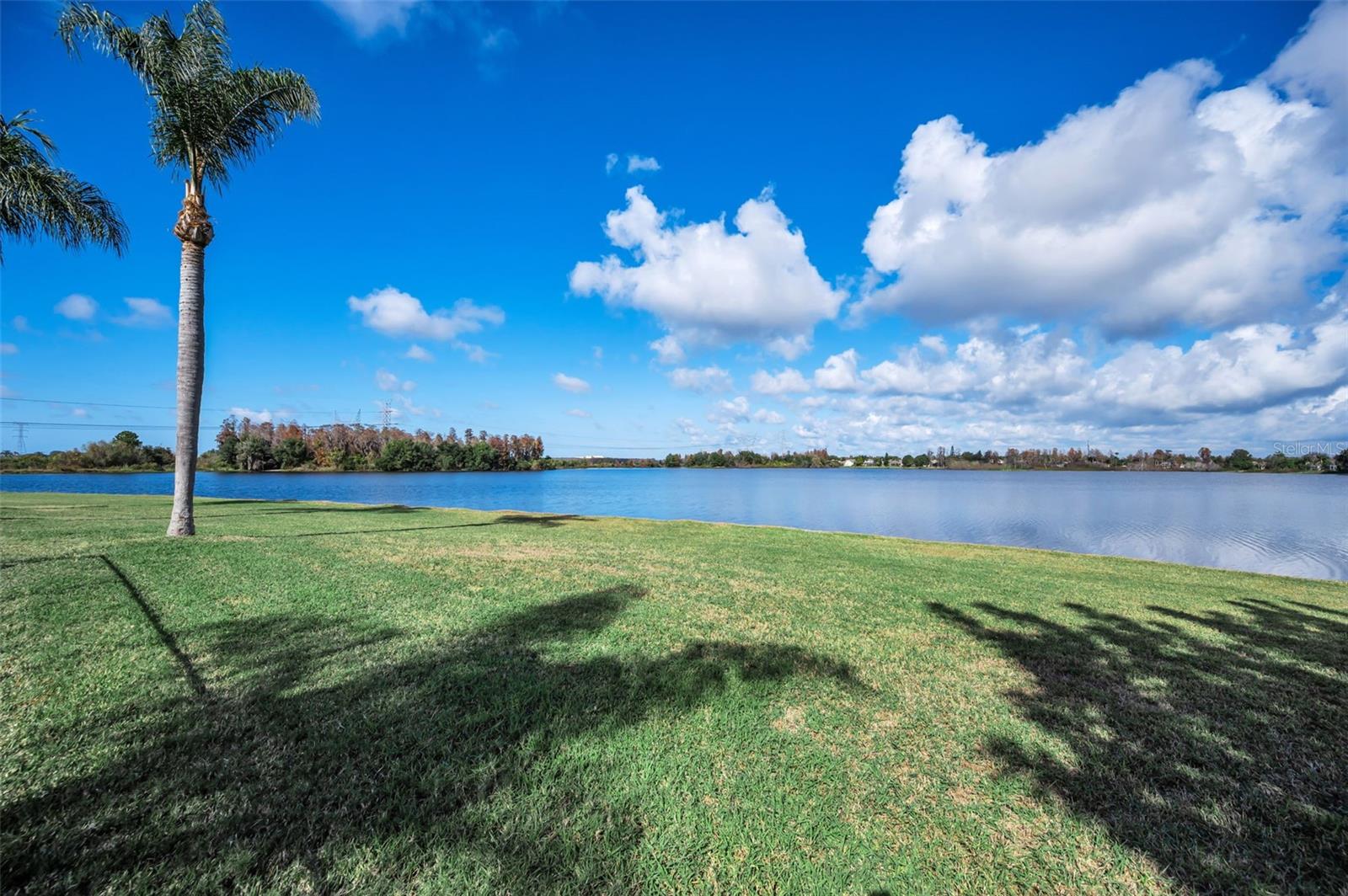 FOX WOOD PH 01 - Residential