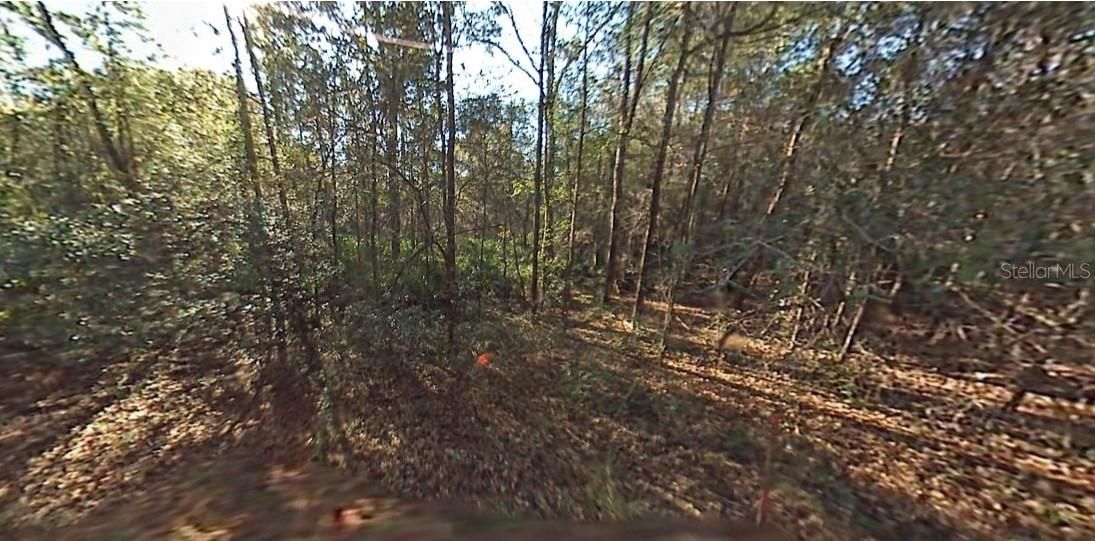 Build your dream home on this .23-acre lot in the growing community of Rainbow Park! Just off HWY 40, enjoy
a peaceful country feel while staying minutes from Ocala, Dunnellon, Rainbow Springs, and the World
Equestrian Center. No HOA. No mobile homes. Don’t miss this opportunity to own your slice of paradise!