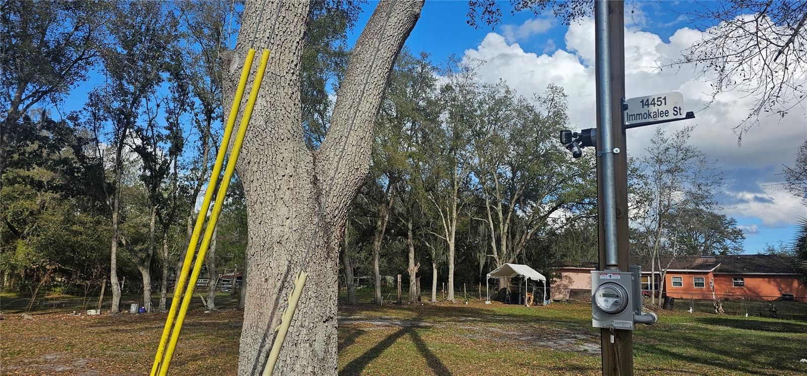 INTEROCEAN CITY SEC A - Land