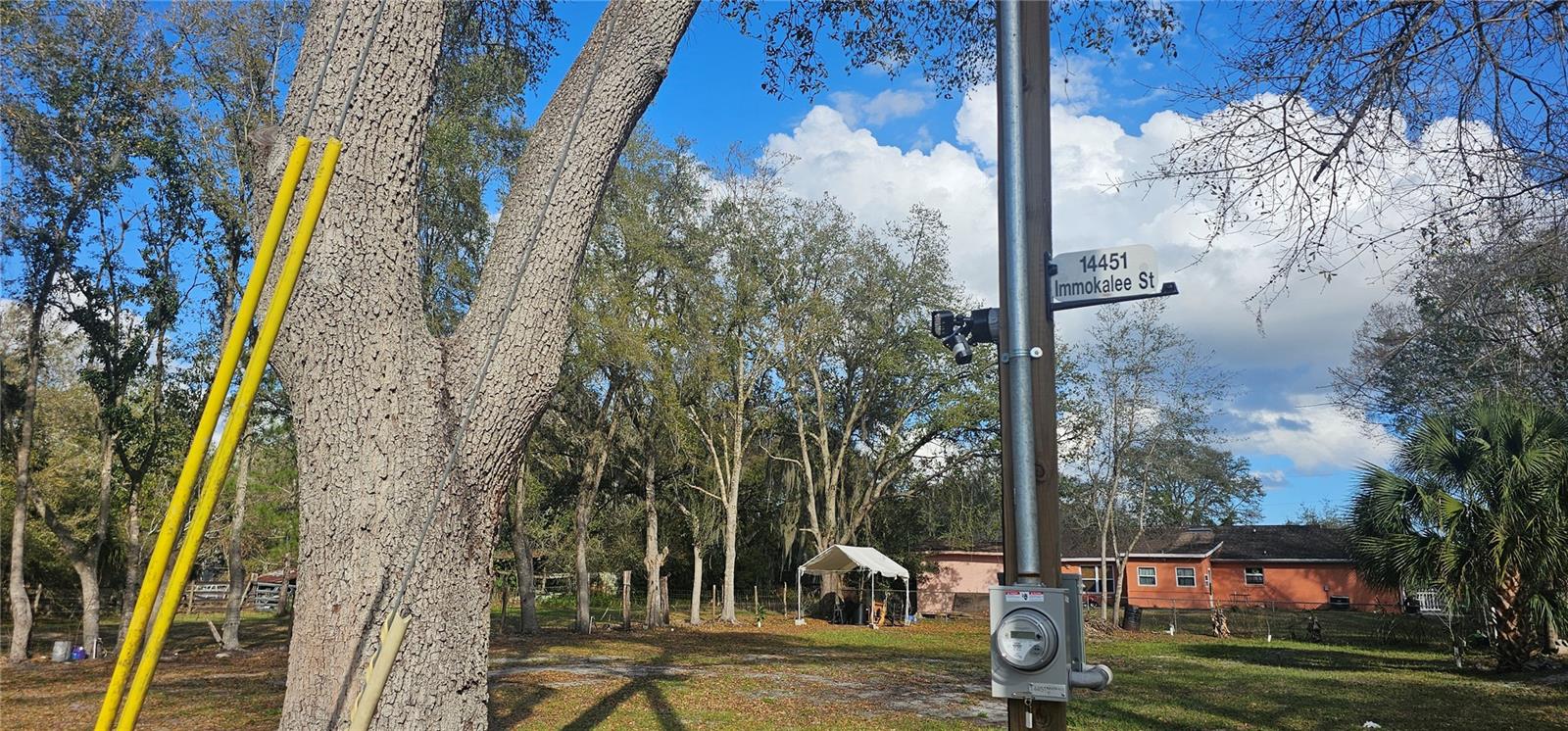 INTEROCEAN CITY SEC A - Land