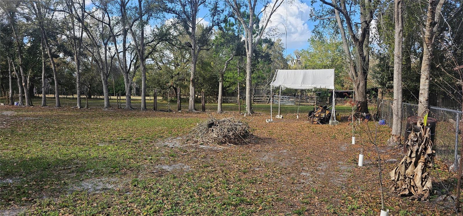 INTEROCEAN CITY SEC A - Land