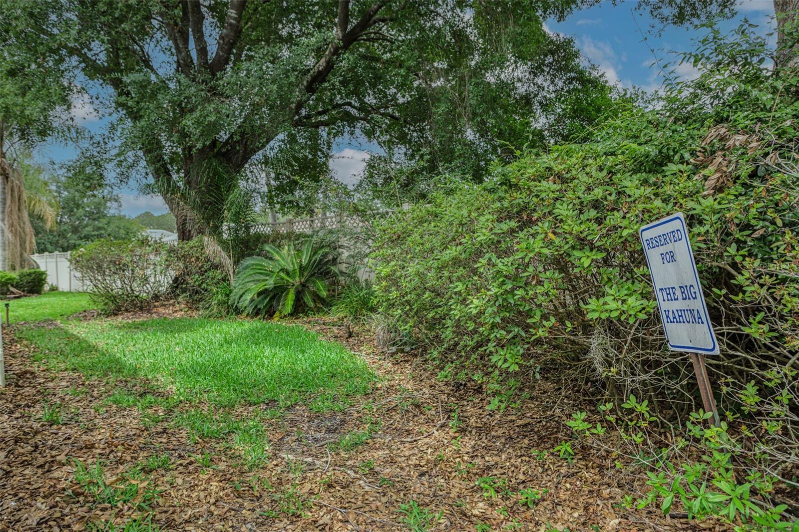HUNTER'S GREEN - Residential