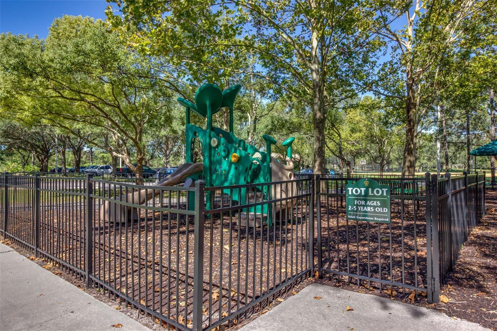 HUNTER'S GREEN - Residential
