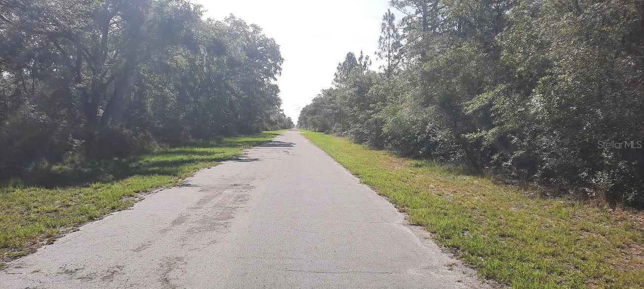 PANDORA DRIVE