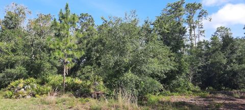 PANDORA DRIVE INDIAN LAKE ESTATES FL 33855