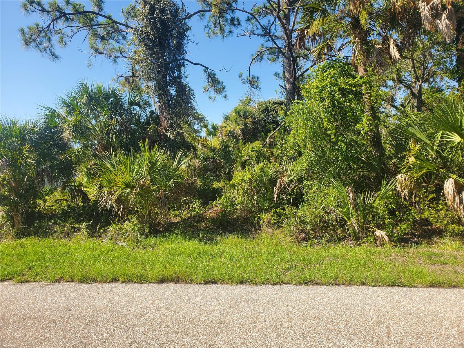 Duplex Lot (zoned RMF-10) in rapidly growing area ,good investor rental portfolio. Shopping, Municipalities, Beaches, Parks. Rays Stadium and County Fairgrounds. unimproved lot two blocks off hwy, 776.
