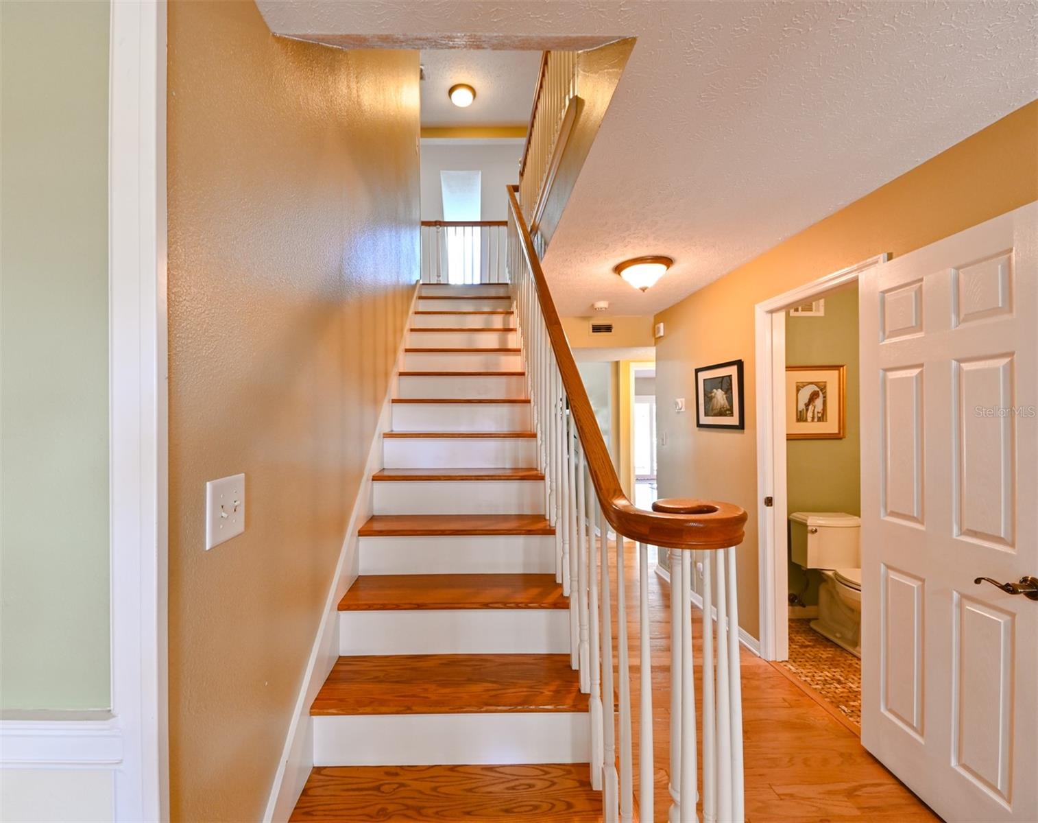 LAKE ELLEN SHORES - Residential