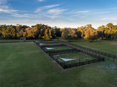 Tiny photo for 14335 N Us Highway 441, Citra, FL 32113 (MLS # OM714507)