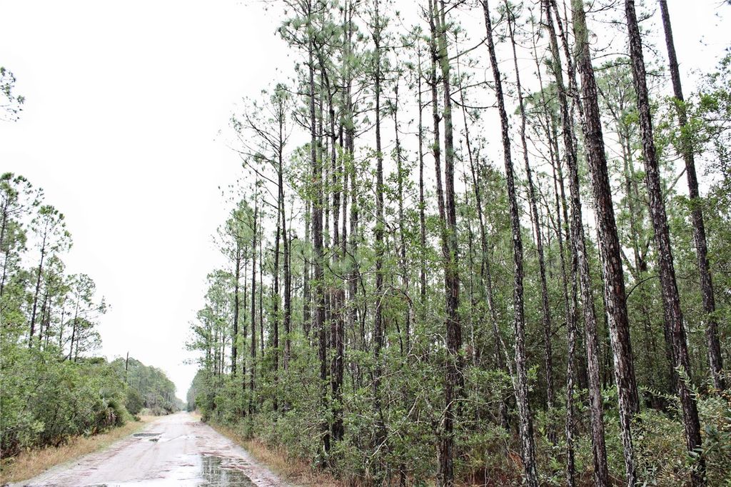 Photo of 849 Ashby Way, Osteen, FL 32764 (MLS # V4946982)