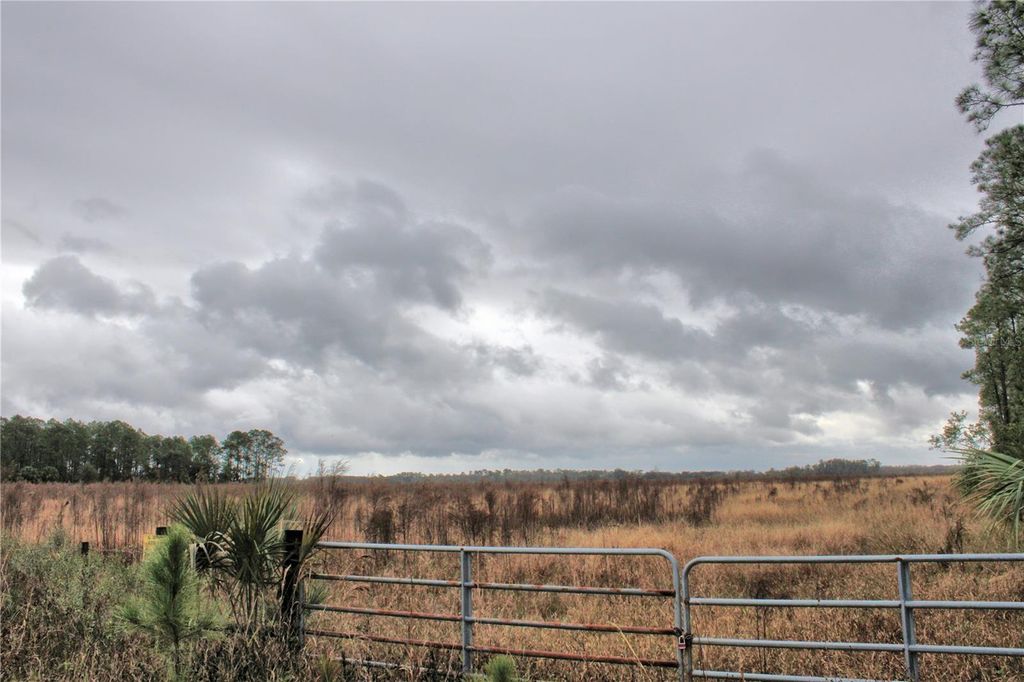 Photo of 849 Ashby Way, Osteen, FL 32764 (MLS # V4946982)