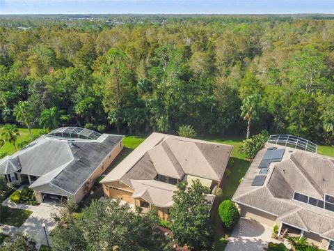 A home in KISSIMMEE