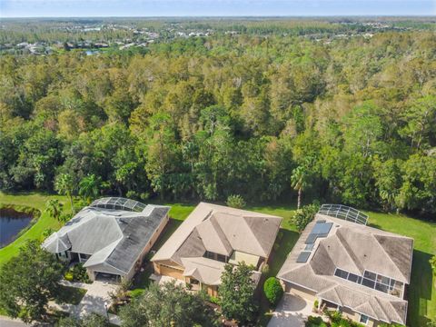 A home in KISSIMMEE