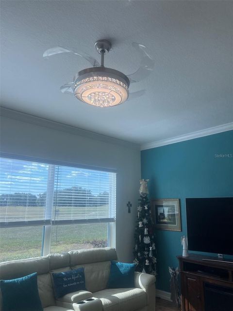 Tiny photo for 11750 SE 178th Street, Summerfield, FL 34491 (MLS # OM723011)