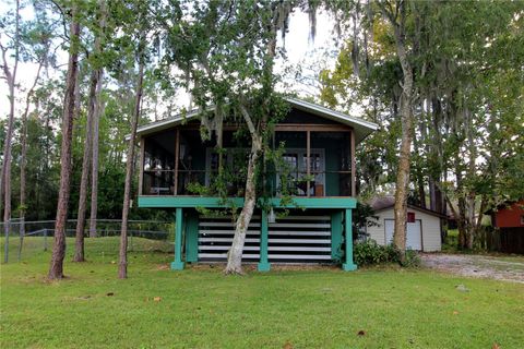 Photo of 14712 Henson Road, Orlando, FL 32832 (MLS # O6358303)