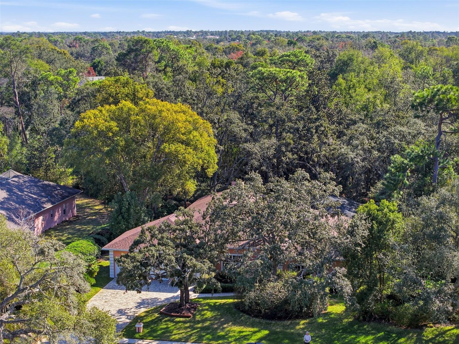 LAKE IN THE WOODS PH V - Residential