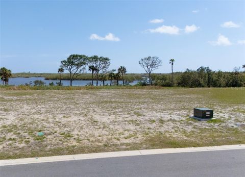 28 CORONADO ROAD FLAGLER BEACH FL 32136
