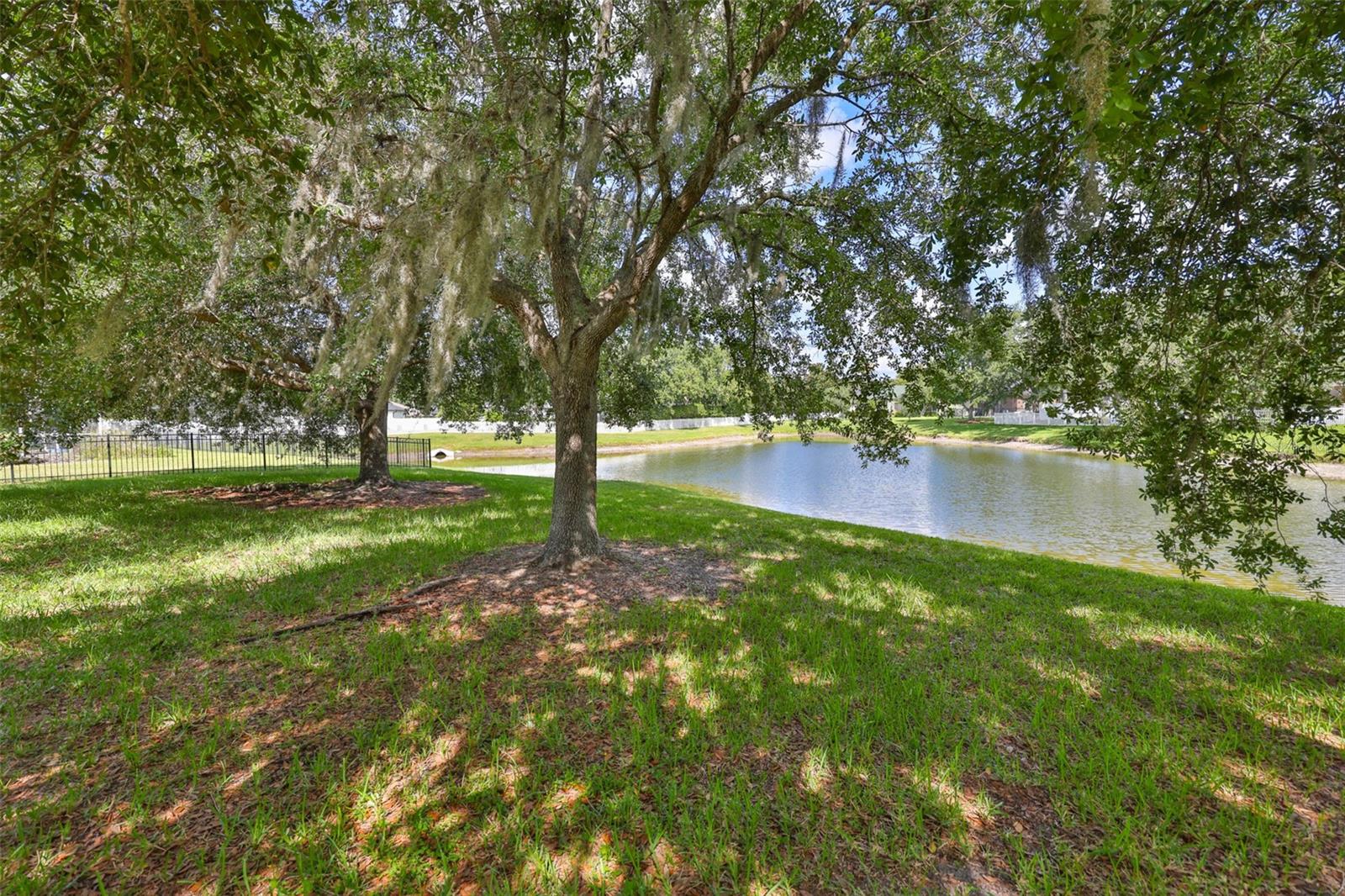 16508 AMBERWIND LANE
