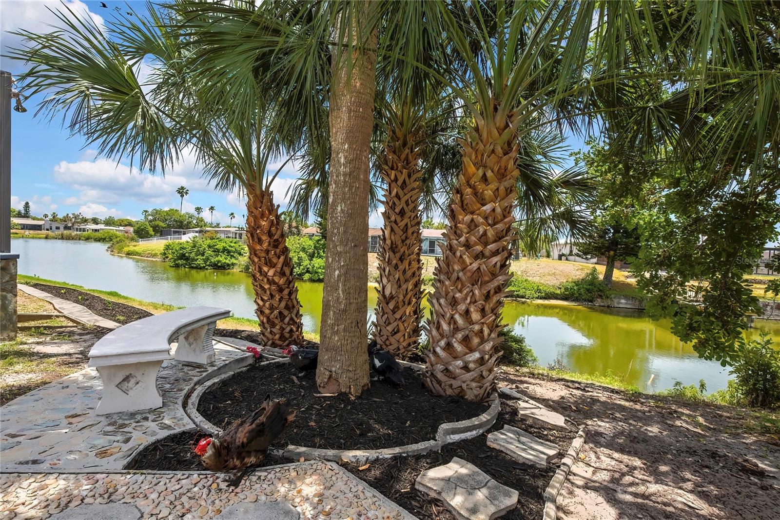 EMBASSY HILLS - Residential