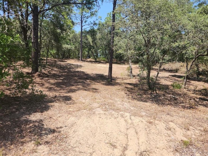 1.02 Acres backing up to large farm, nice view, paved roads, 140 ft elevation, some clearing done.  Owner financing, no HOA, access to two lakes.  Play ground, club house, after you build your dream home you can bring your boats and RV's , and build a barn or detached garage.