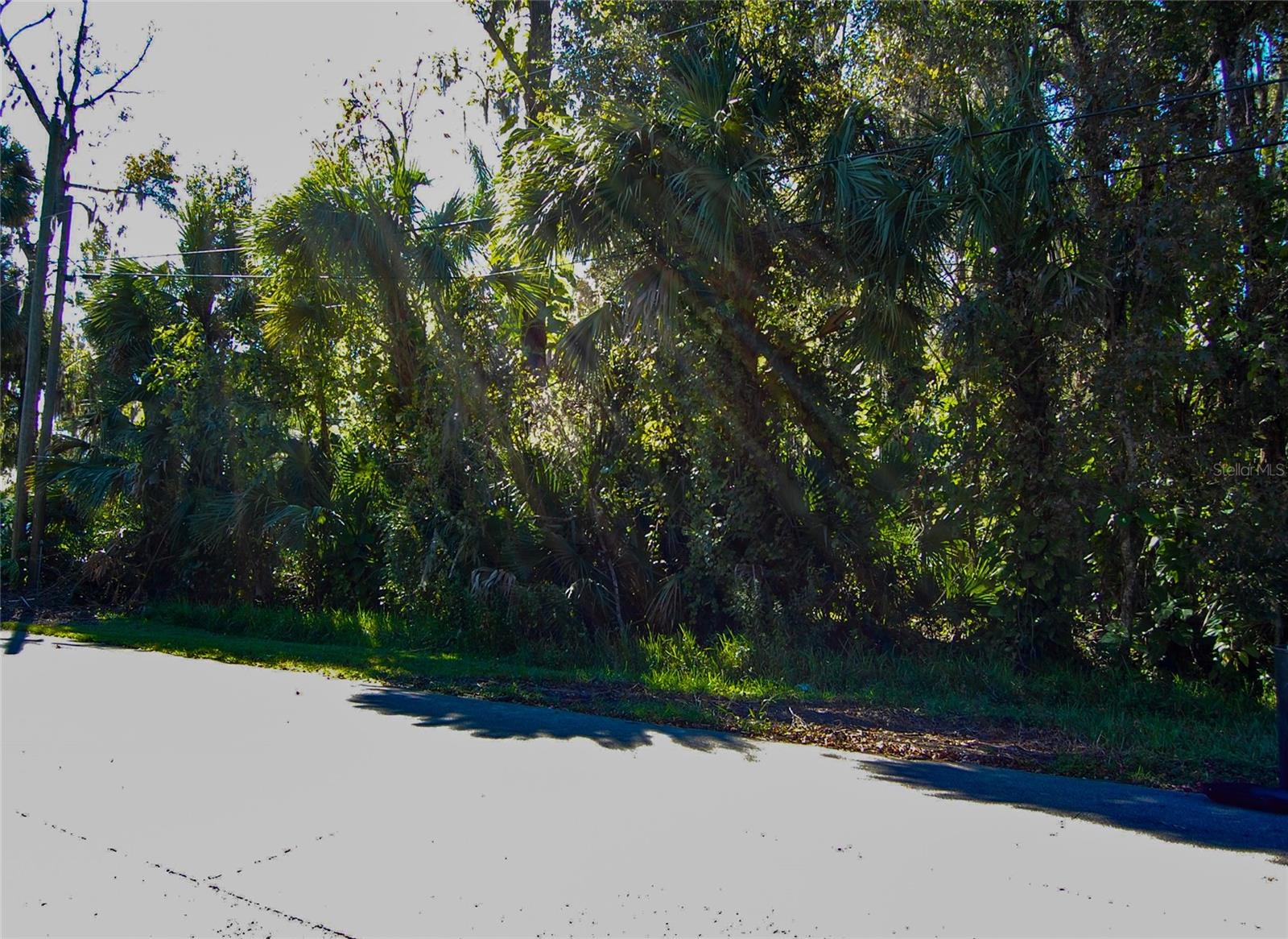 332 PATRICIA DRIVE
