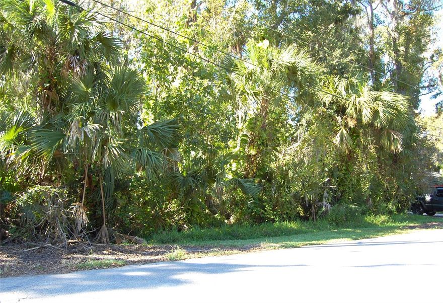 What a terrific location for your new home in New Smyrna Beach. Just off of Hwy 44 in the established neighborhood of Oliver Estates. This is a quiet area that provides easy access to I 95 and the shopping and restaurants on the commercial corridor of Hwy 44. Just a short drive to the Historic canal street entertainment district and just a bit further to the beautiful beaches of New Smyrna. This colorful and artistic beach town is less than an hour drive to the airport and attractions in Orlando.