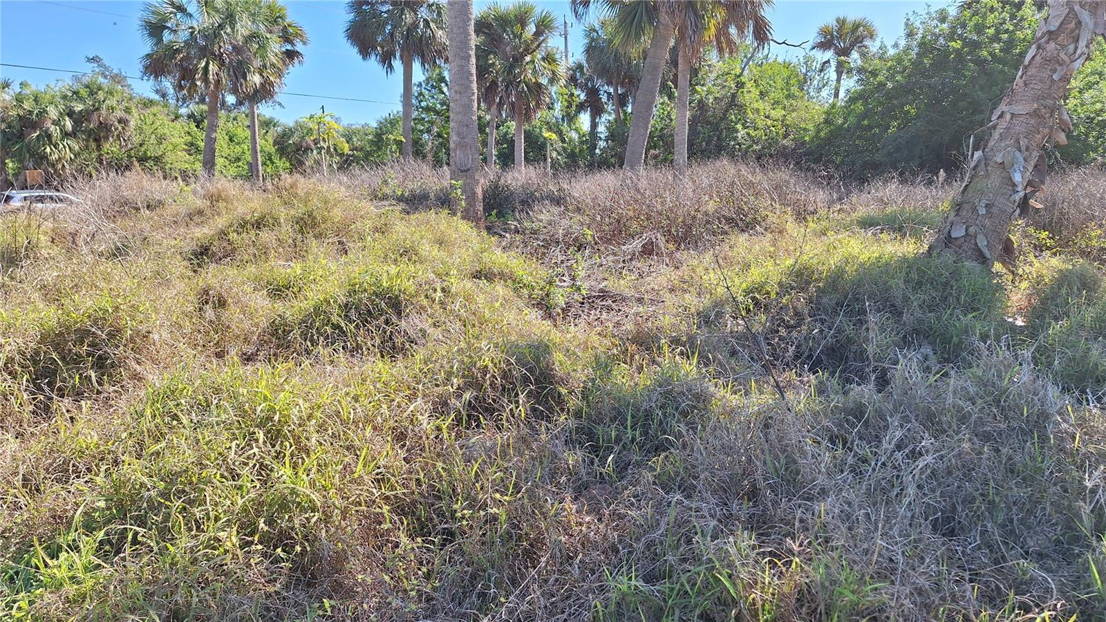 PORT CHARLOTTE SEC 008 - Land