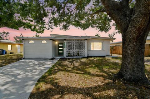 5121 FLAMINGO DRIVE N ST PETERSBURG FL 33714