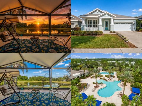 Photo of 20133 Heron Crossing Drive, Tampa, FL 33647 (MLS # TB8503823)