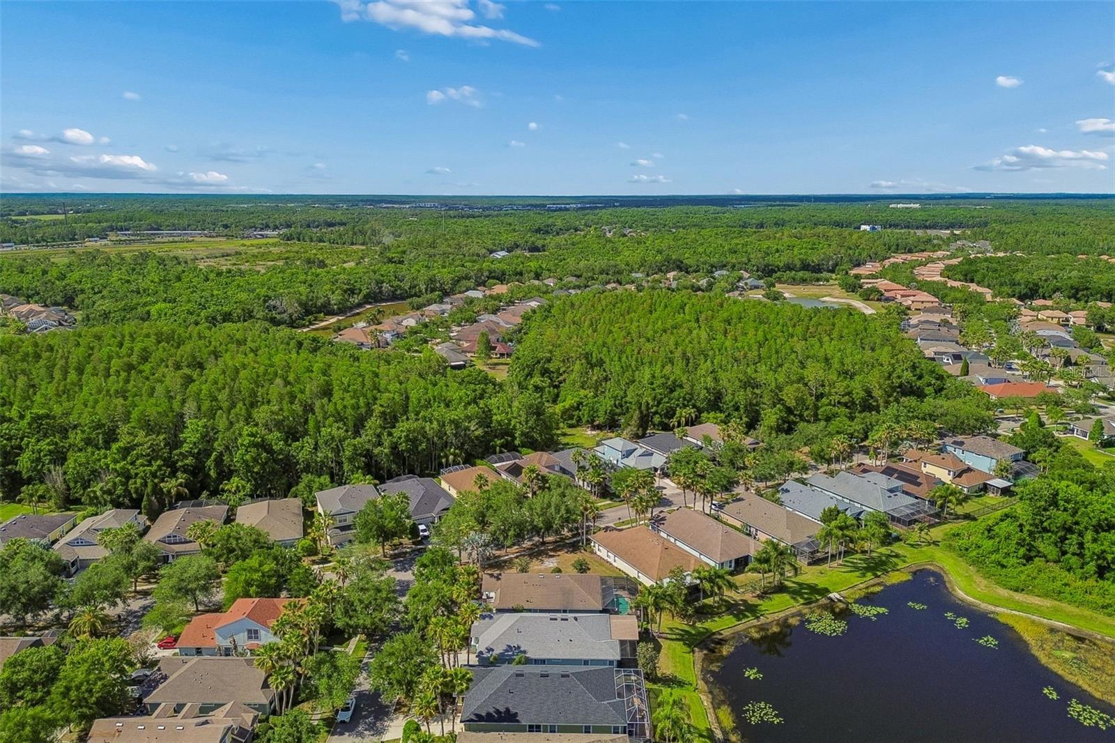 GRAND HAMPTON PH 4 - Residential