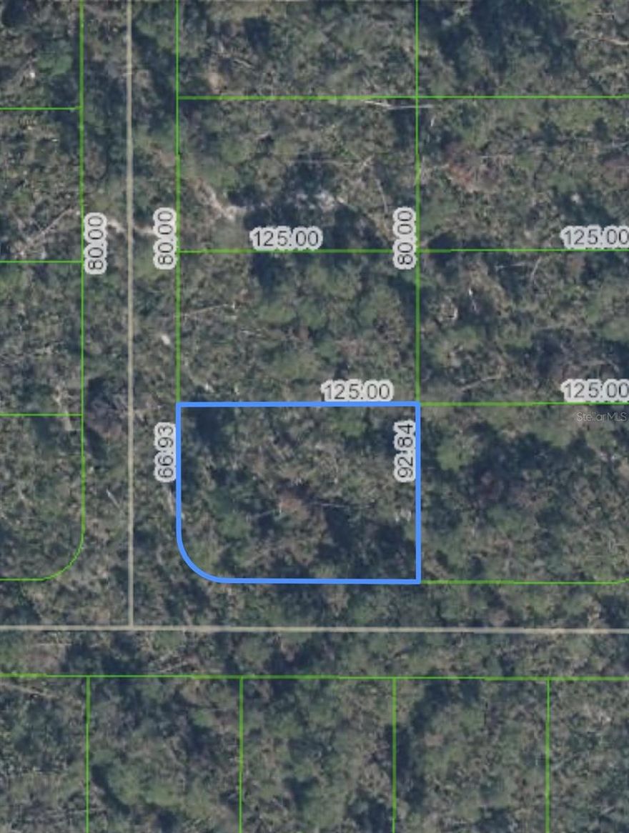 Close to Lake Josephine, corner lot with 0.26 acres. 
VACANT LOT IN GROWING SEBRING, FL, PERFECT TO BUILD YOUR DREAM HOME. ZONED R-1, DON'T MISS OUT ON THIS GREAT INVESTMENT. Listing agent is a member of the selling LLC