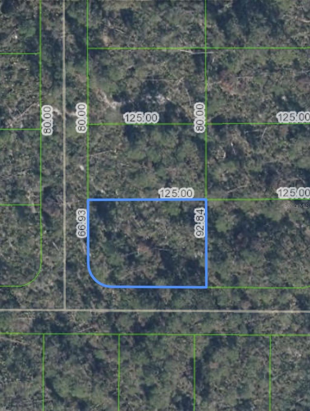 Photo of 10662 Deep Hazard Drive, Sebring, FL 33875 (MLS # O6236497)