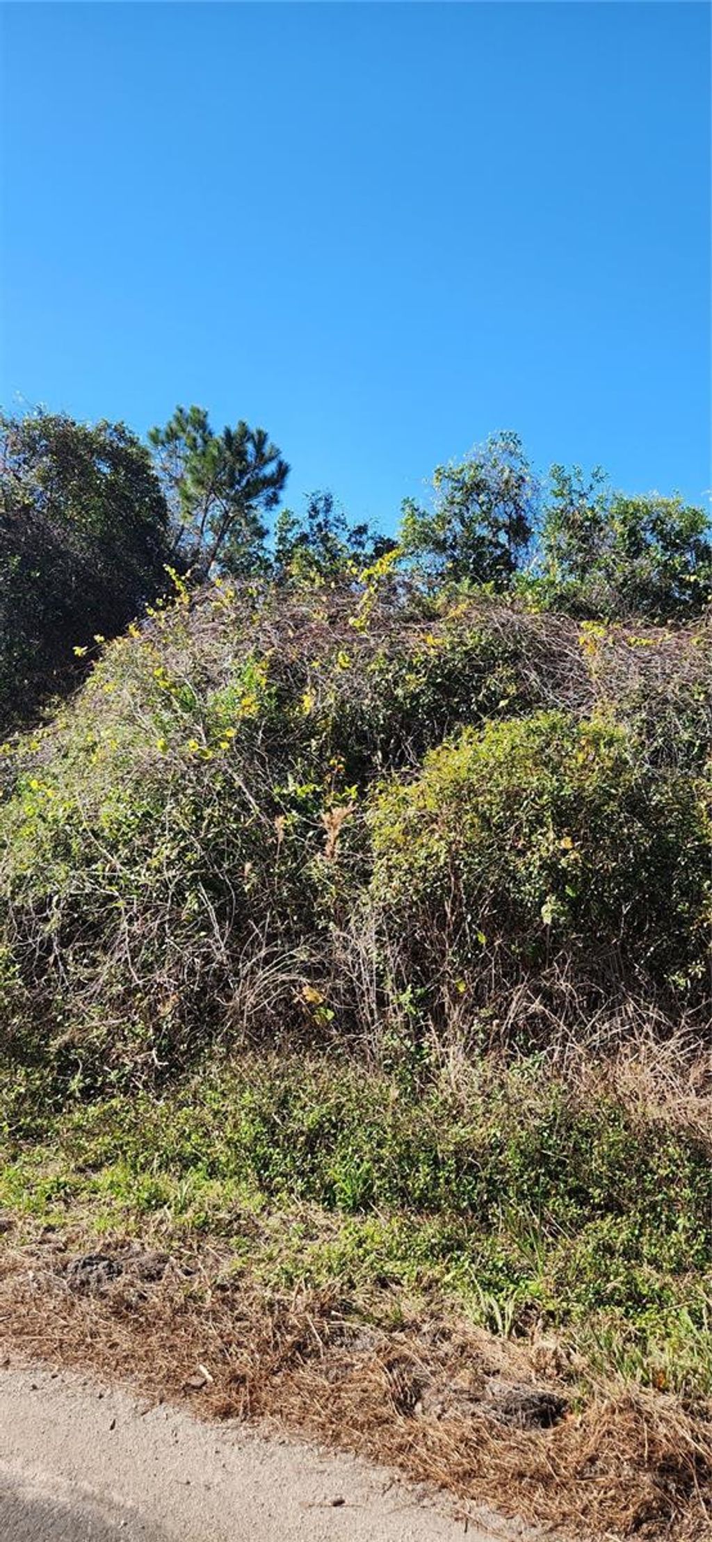 Photo of 000 Malauka Radial, Ocklawaha, FL 32179 (MLS # OM693094)