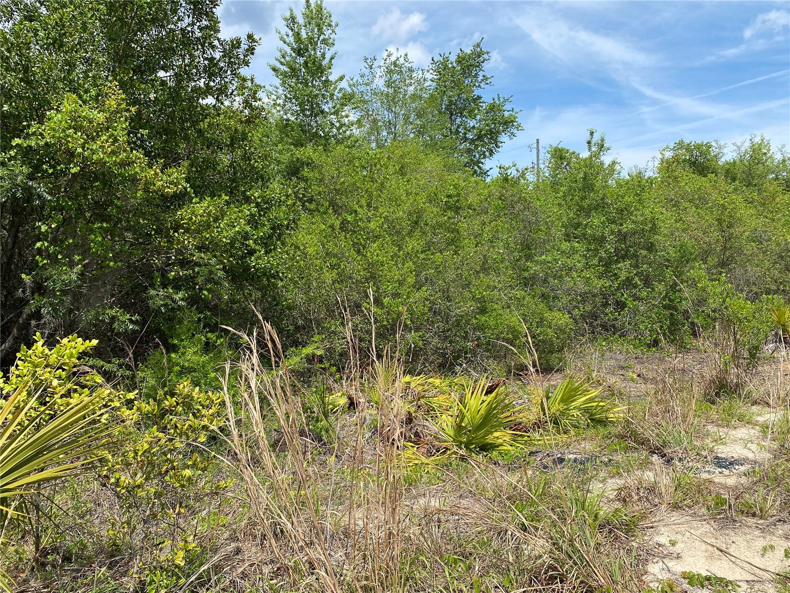 ROLLING GREEN ACRES - Land