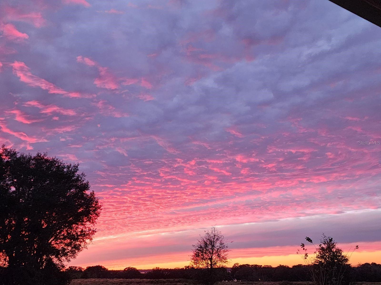 CRESSWIND/LK HARRIS PH 1 - Residential