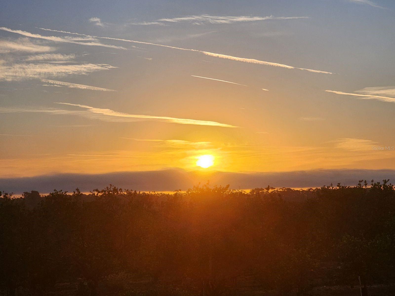 CRESSWIND/LK HARRIS PH 1 - Residential