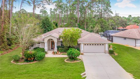 A home in PALM COAST