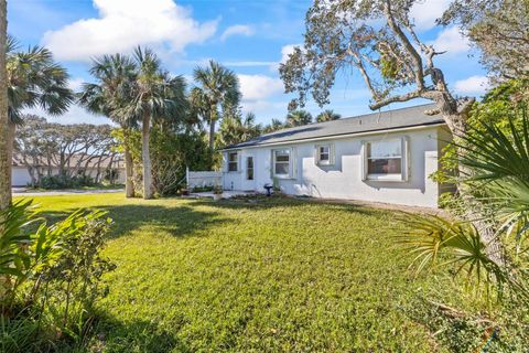 A home in FLAGLER BEACH