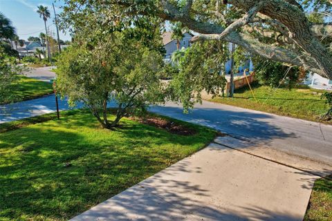 A home in FLAGLER BEACH