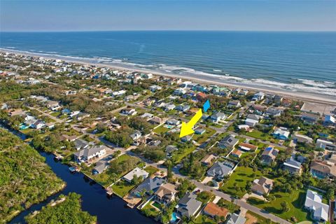 A home in FLAGLER BEACH