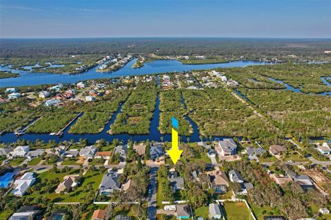 A home in FLAGLER BEACH