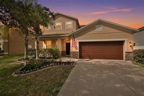 Photo of 10811 Kirkwall Port Drive, Wimauma, FL 33598 (MLS # TB8527501)