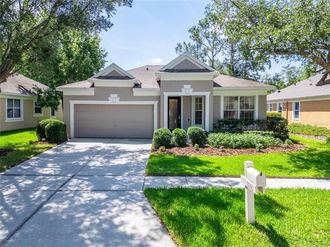 Photo of 18103 Hamden Park Way, Tampa, FL 33647 (MLS # TB8511626)